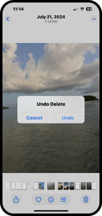 Deshacer borrar foto