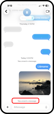 You unsent a message.